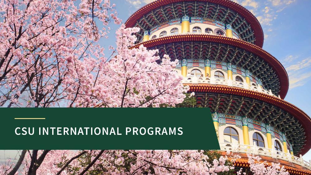 CSU International Programs