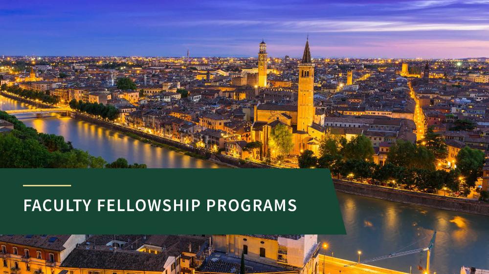 Faculty Fellowship Programs